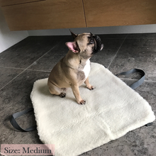 Load image into Gallery viewer, Dog travel bed size medium