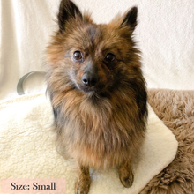 Load image into Gallery viewer, Dog travel bed size small